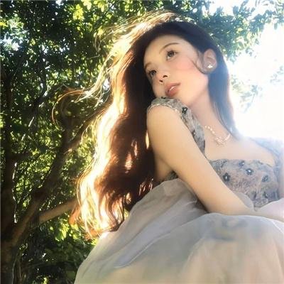 蓝徽特攻队
